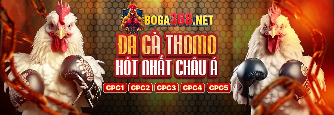Cá cược thể thao tại S666 Đăng Nhập